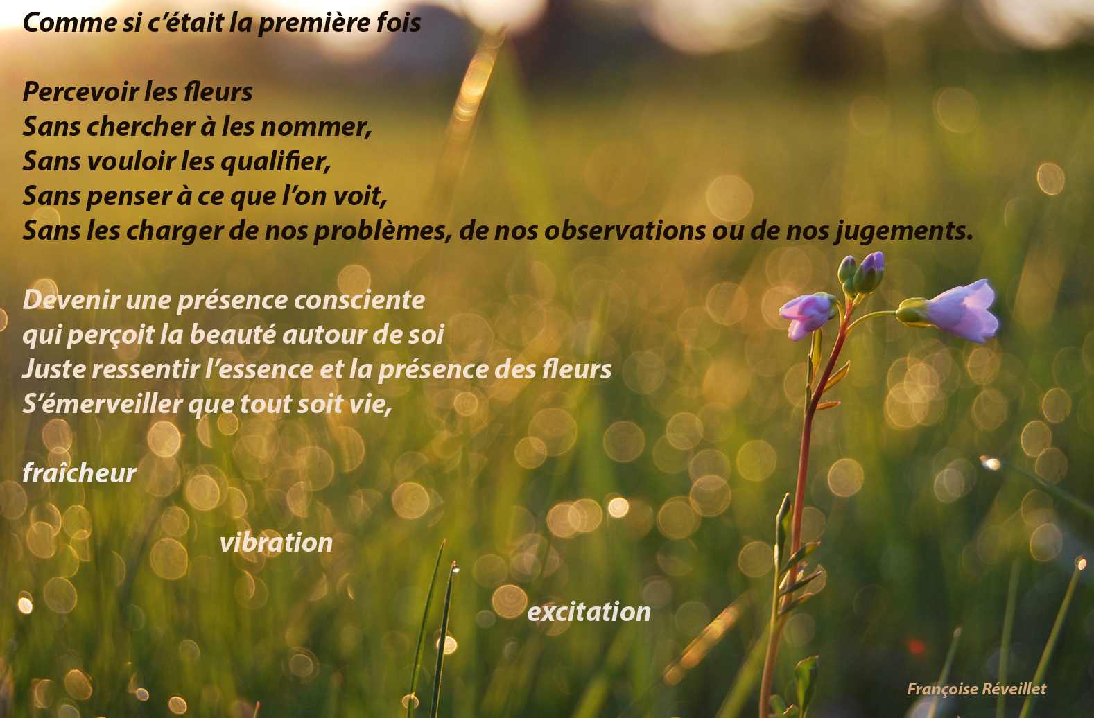 Phytospiritualite S Offrir Une Fleur Pour La Premiere Fois
