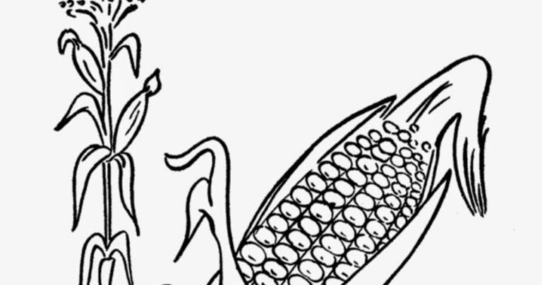 Mewarnai Jagung - Gambar Mewarnai Gratis