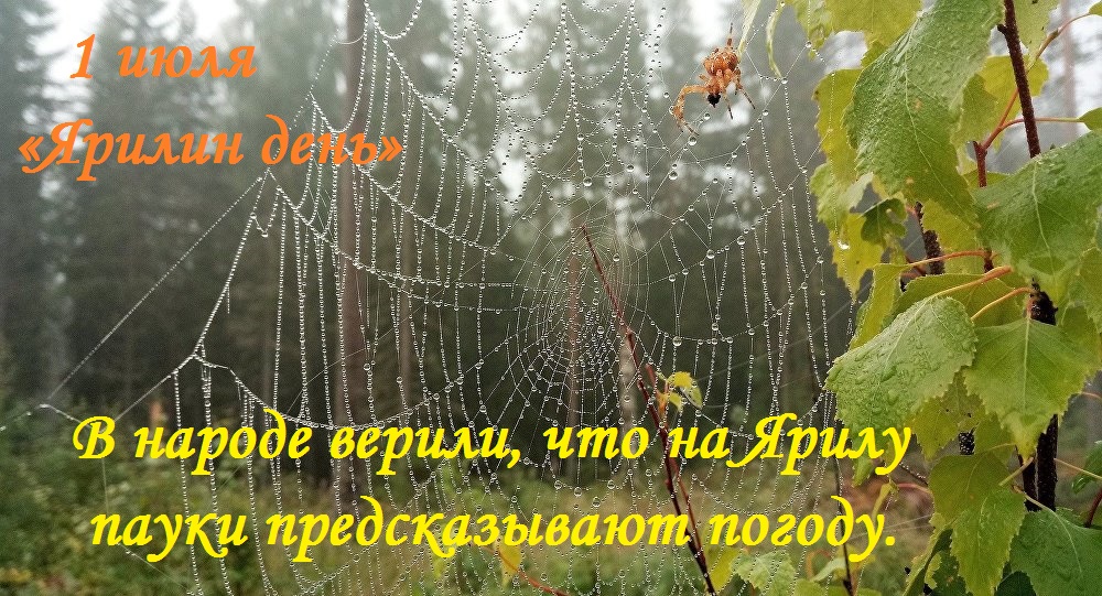30 июня 1 июля. лист календаря. 30 июня. прогноз погоды летом. завтра по календарю рабочий день или нет.