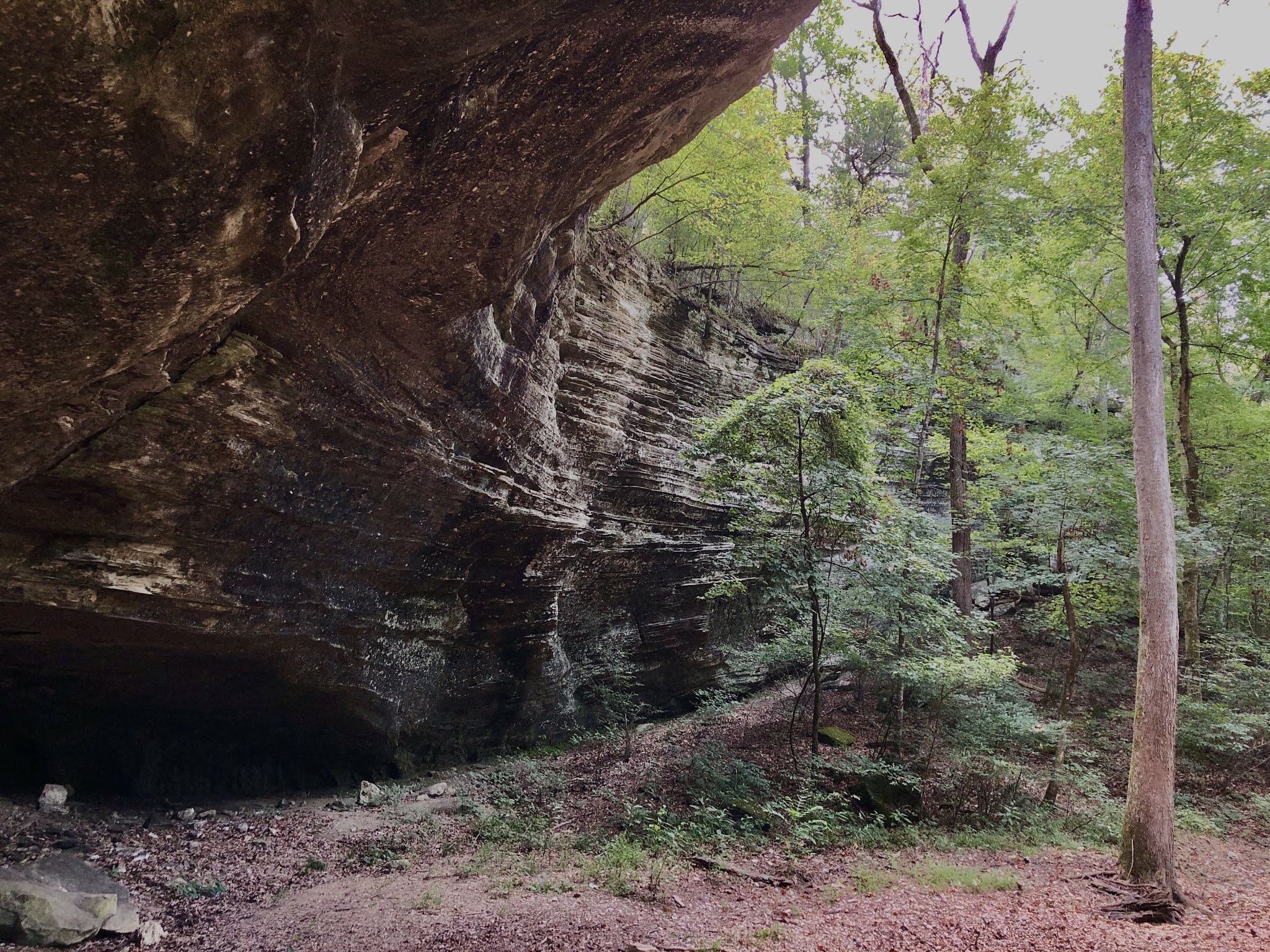 Tea Kettle Falls Trail, Huntsville, Arkansas