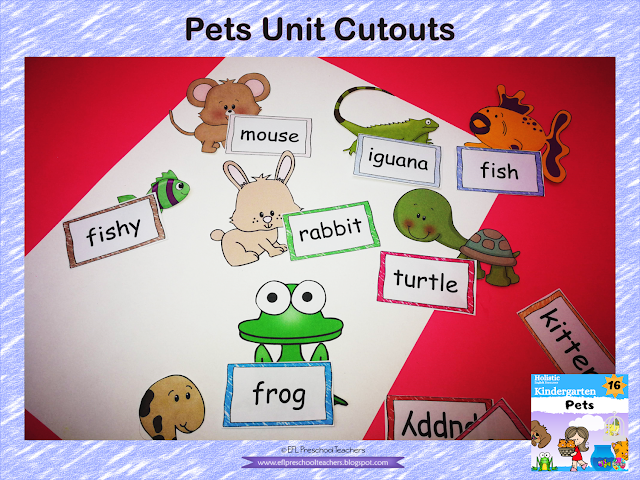 engleza pets unit word matching