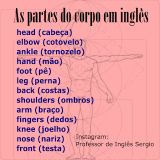 As partes do corpo em inglês, Inglês, Inglês para Brasileiros, Inglês para Iniciantes, Partes de corpo em inglês, Vocabulário em Inglês,