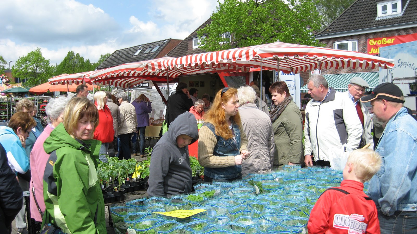 Wiesmoorinfo Blumen und Pflanzenmarkt