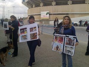 Acto contra los circos con animales y pegadas de carteles: (13-11-2011)