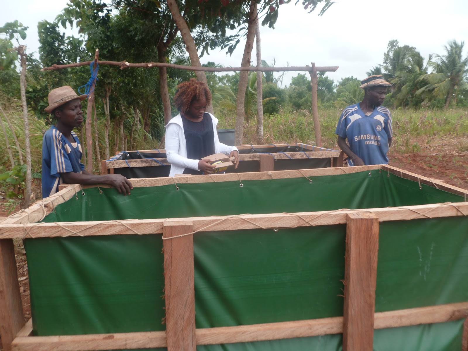BODORA Hassan Production de poissons horssol