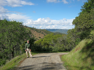 Pierce Canyon Falls Trail