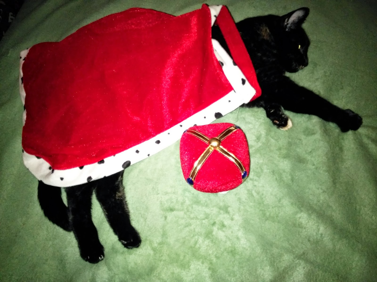 Melissa's Mochas, Mysteries and Meows Truffles Models Costumes from