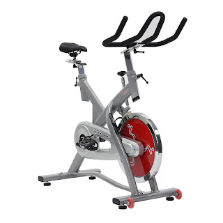 Sunny Health & Fitness SF-B1003 Indoor Cycle Trainer with 55 lb flywheel, image, review features and specifications