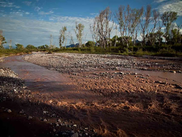 Piden retirar concesión a Grupo México por ecocidios en Sonora