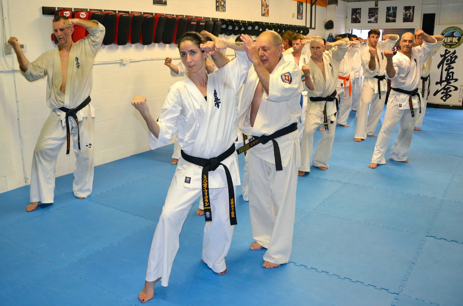 International karate. Kihon karate. Карате международная. Международная федерация всестилевого каратэ. Карате международная.