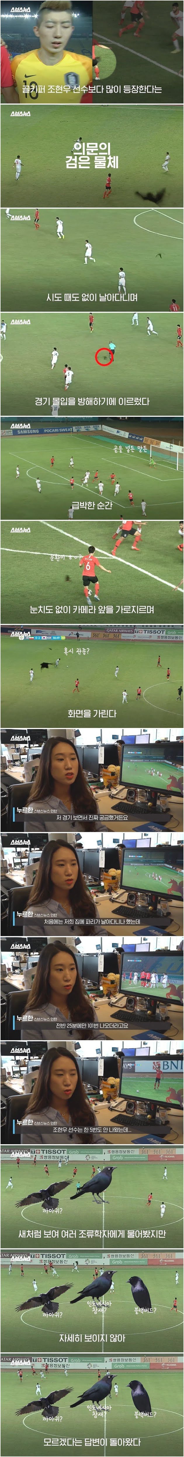 아시안게임 축구 화면 가리던 새들의 정체