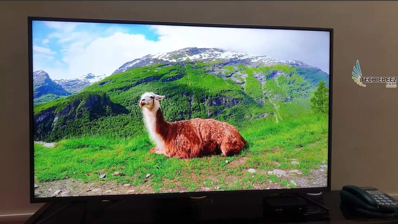 Best Budget 55 inches 4k HDR TV 2019 Vu Premium Android 4k HDR TVs