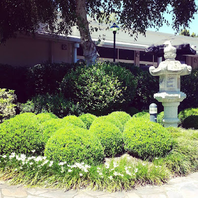 Plants and statue in a Japanese garden.