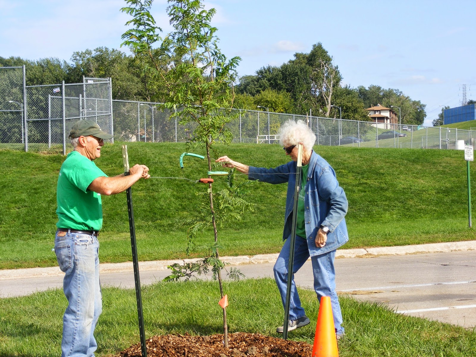 Stories Rhymes and Singalong Times! Tree Planting at Bellevue Public