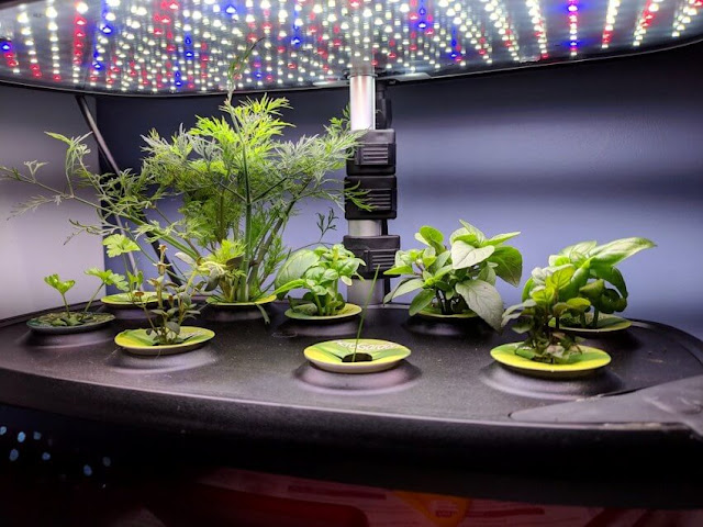 AeroGarden 2