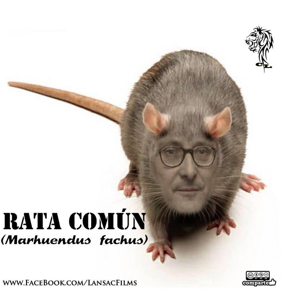 SaltimbanquiClicClic Rata de dos patas