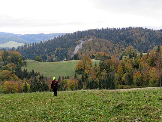 Polana pod Wysoką. Polana pod Wysoką.