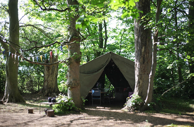 forest camping