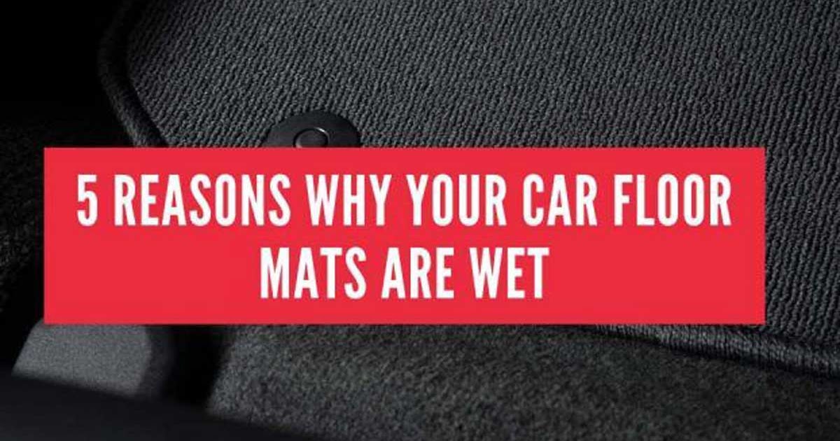 5 Reasons Why Your Car Floor Mats Are Wet Buzz Sharing