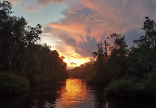 Atardecer en la isla de Borneo. Atardecer en la isla de Borneo.