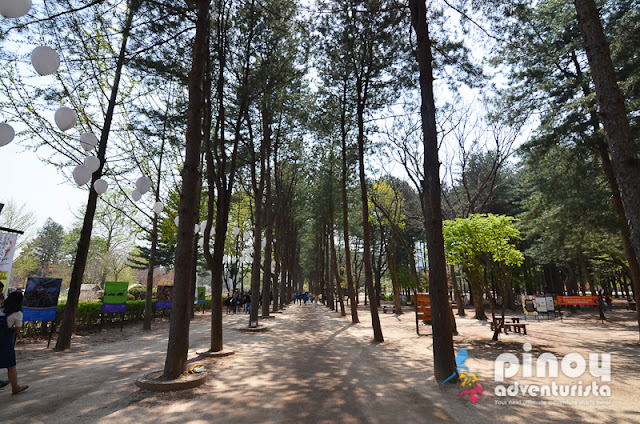 NAMI ISLAND AND PETIT FRANCE Blog