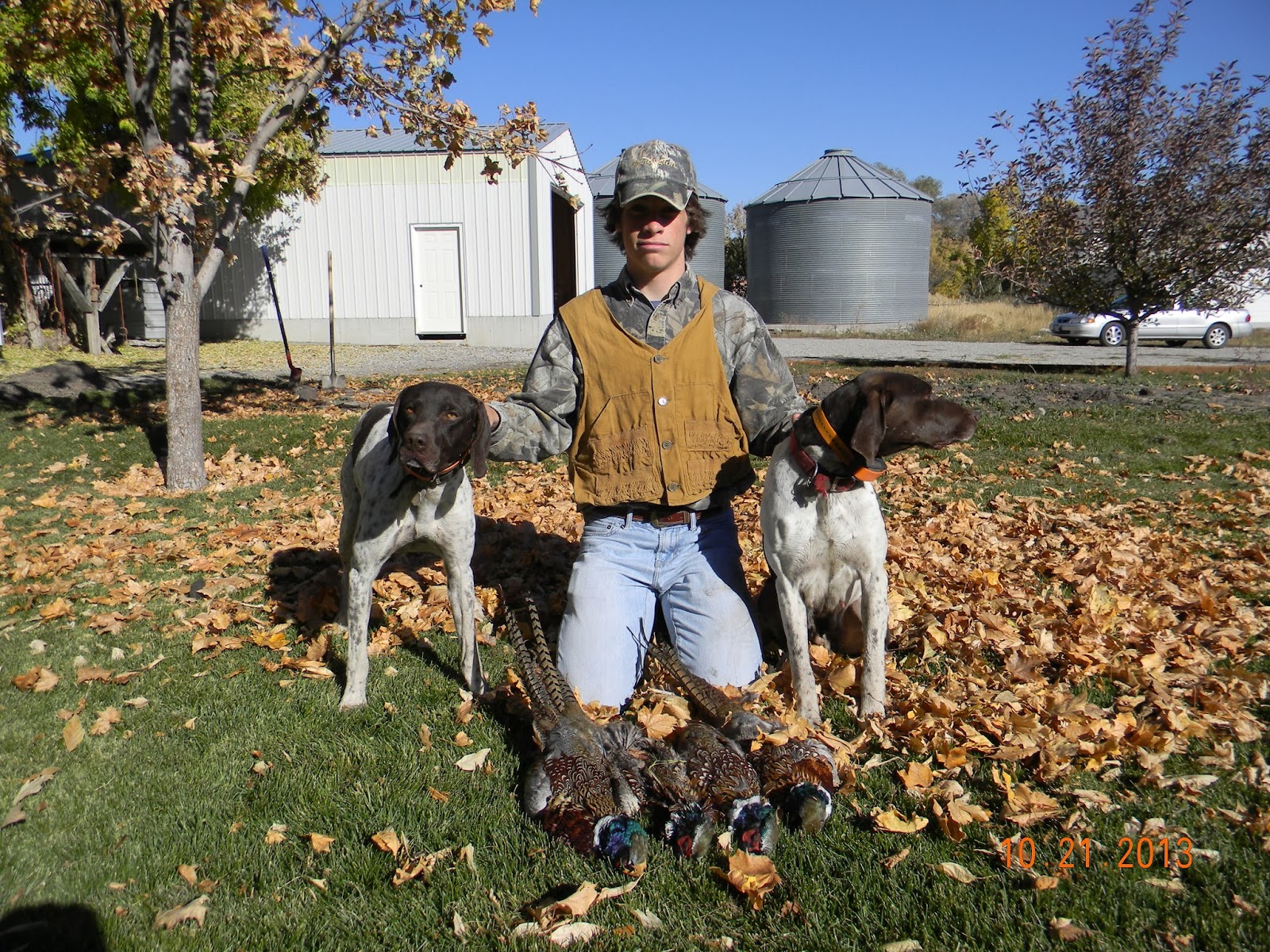 Gunsight Kennels Sharp and Pheasant Hunting in Idaho
