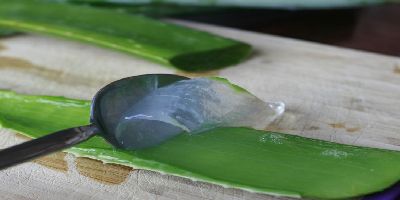 Aloe Vera For Acne - Easy Way To Get Rid Of Acne Overnight