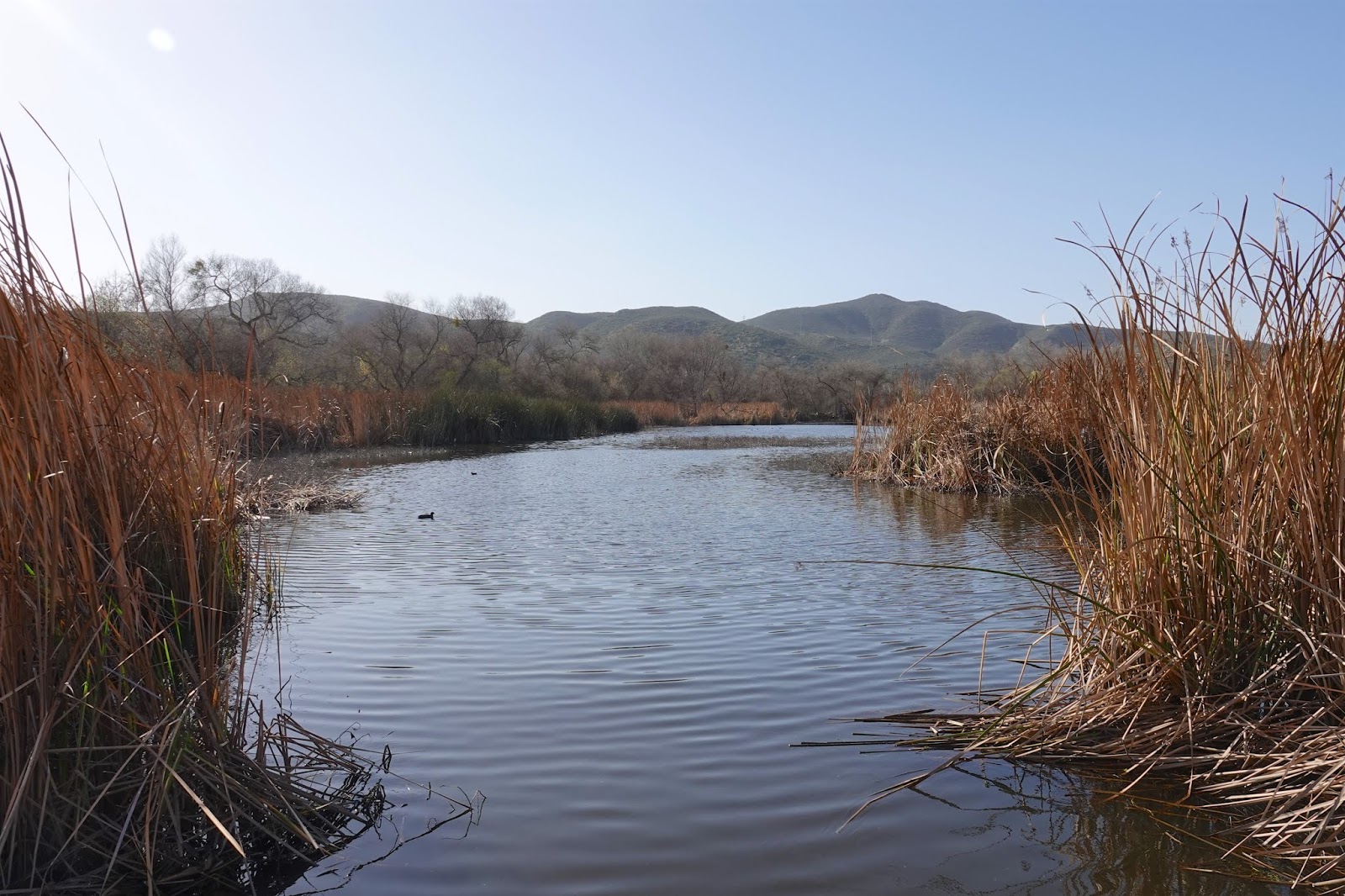Looking for Lakes Kumeyaay
