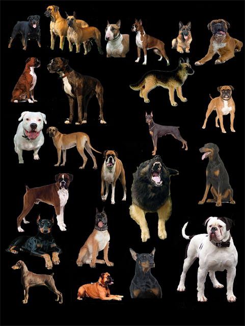 cut out dogs #1b