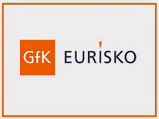 Collaboro da 3 anni con GFK