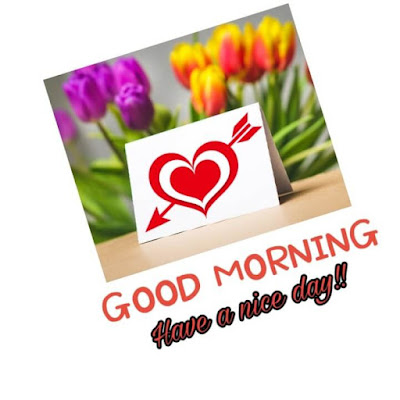 Good morning flower images free download