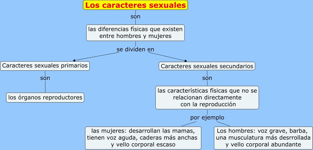 Mapa conceptual,características sexuales secundarias femeninas