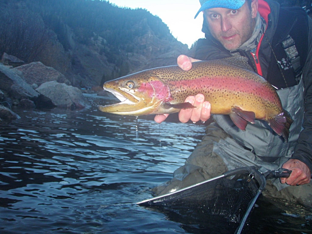 Fly Fish Addiction Colorado Westslope Catch and Release Trout Fishing!