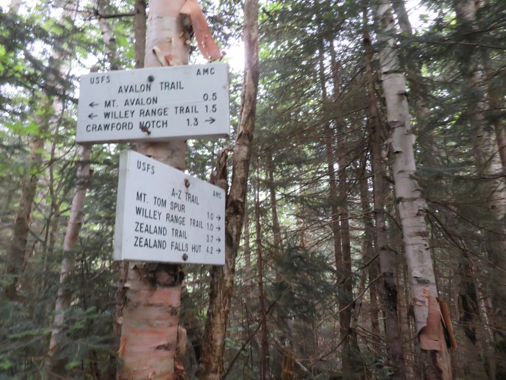 Outdoor Diversion Tom and Field and Avalon Before the Rain