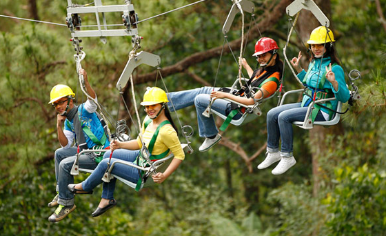 The Magic of Bioluminescence in Australian Waters