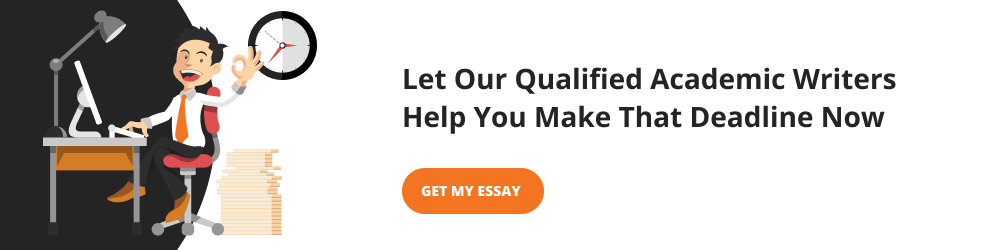 best professional essay writing service review