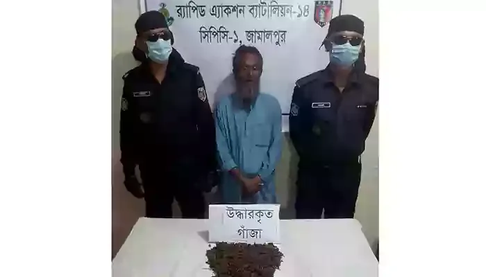 জামালপুরে আধা কেজি গাঁজাসহ মাদক কারবারি আটক