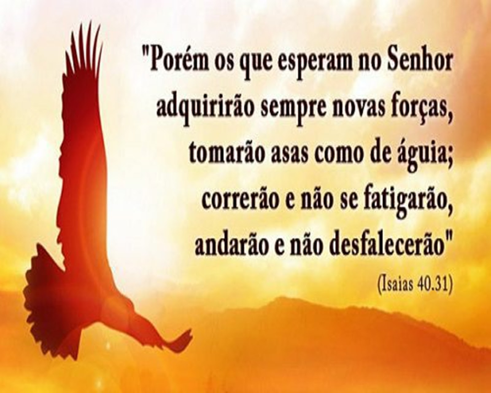 B blia Sagrada Em Imagens Isa as 40 31 Os Que Esperam No Senhor b-blia-sagrada-em-imagens-isa-as-40-31-os-que-esperam-no-senhor