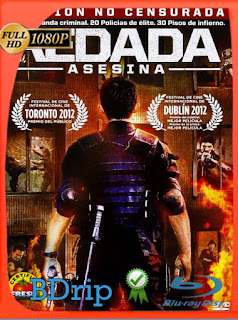 Redada asesina (2011) BDRIP 1080p Latino [GoogleDrive] SXGO