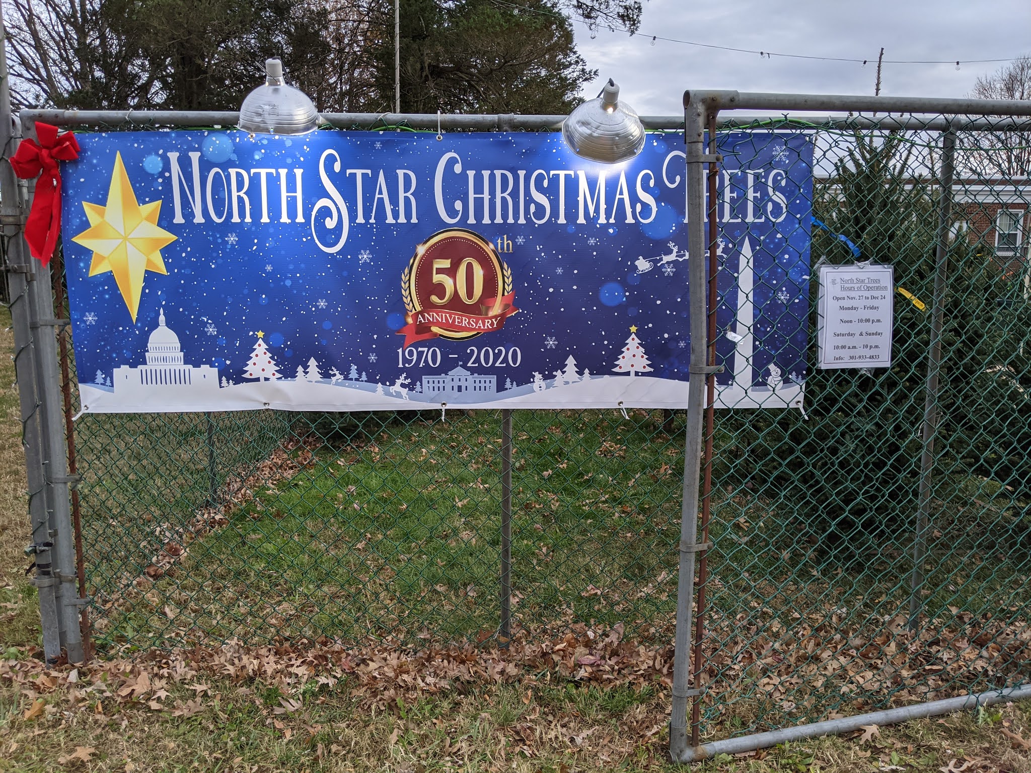 Robert Dyer Bethesda Row North Star Christmas Trees celebrates 50