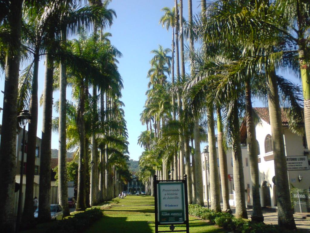 Blog do Petri Governo Municipal Irá Revitalizar A Rua das Palmeiras