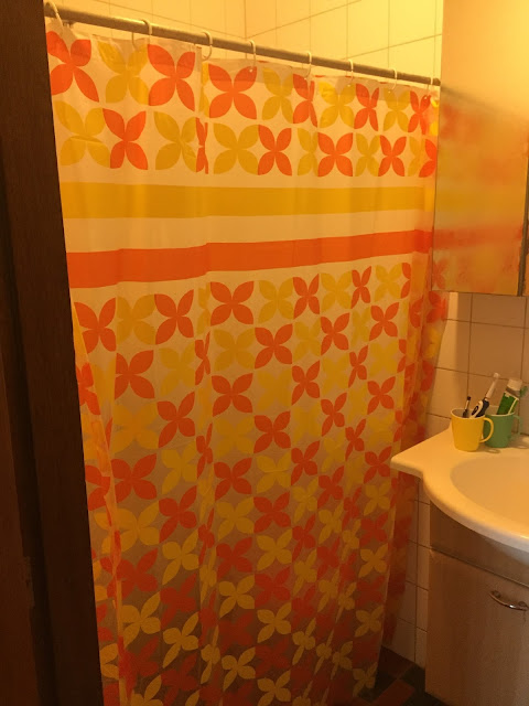 shower curtain