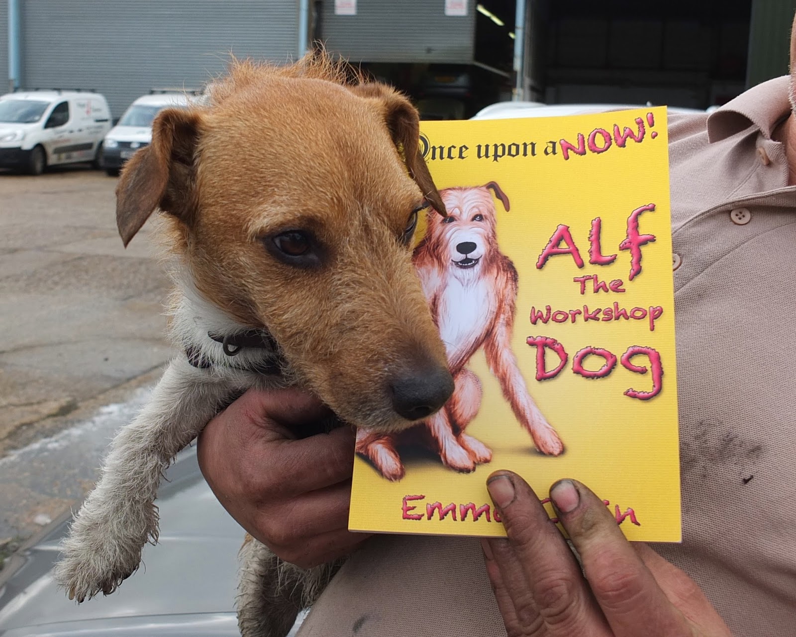 Alf The workshop dog, Alf, Dog, Children's fiction, paperback book, kid's books