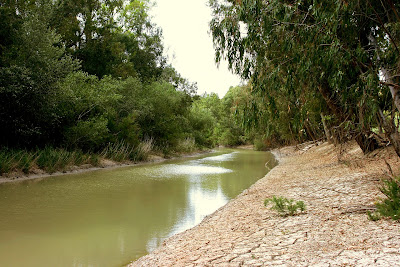 Río Guadalete