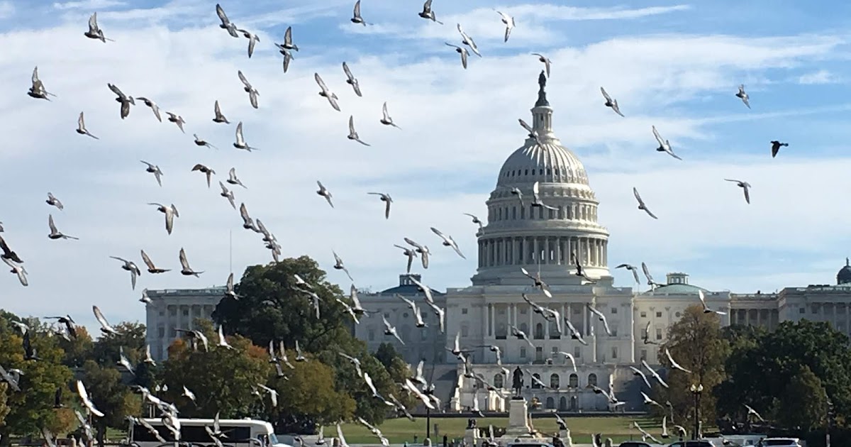Ernst Junger Anarch Tagung Der Ernst Und Fg Junger Gesellschaft