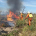 Incêndio atinge áreas de vegetação na Chapada Diamantina