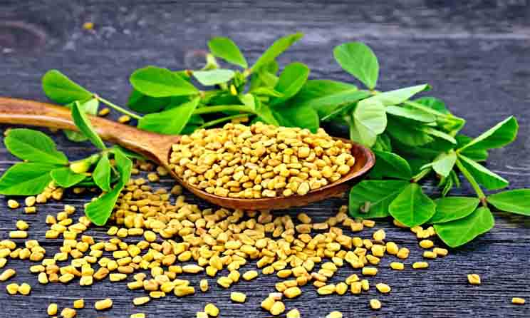 Fenugreek For Stop Hair Loss and Regrow Hair Naturally Home Remedies