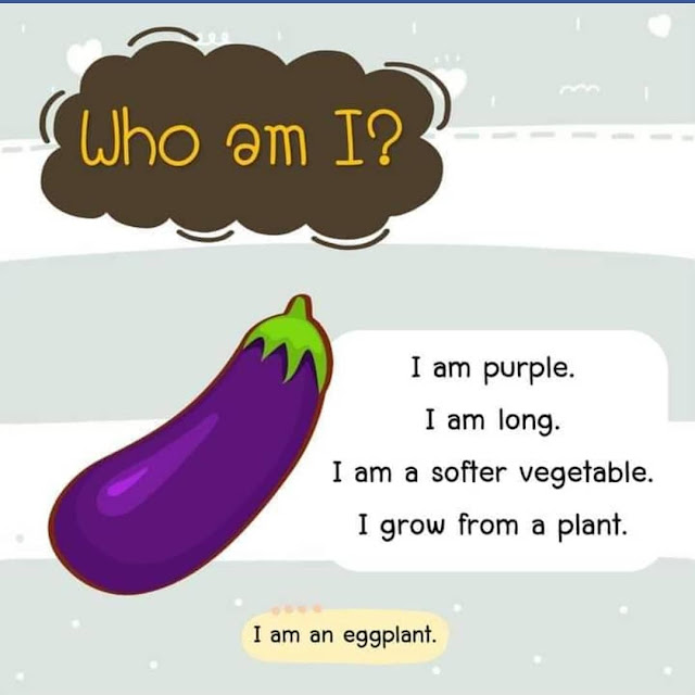 Quiz Guess the name of the Vegetable