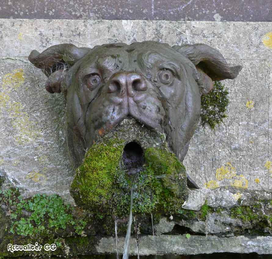 Actualités de la Grande Guerre « Bulldog fountain » à Belleau