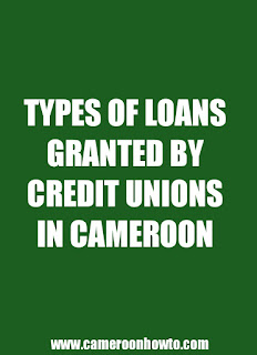 Typs of loans granted by credit unions Cameroon